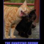 1379453628drunk