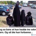 1439103288486920_4865790729573_109330710_n