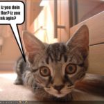 567956999funny-pictures-cat-asks-what-you-are-doing-on-the-floor