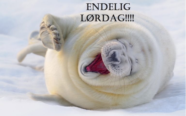 Lørdag!