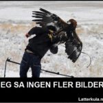 875382352ørn-humor