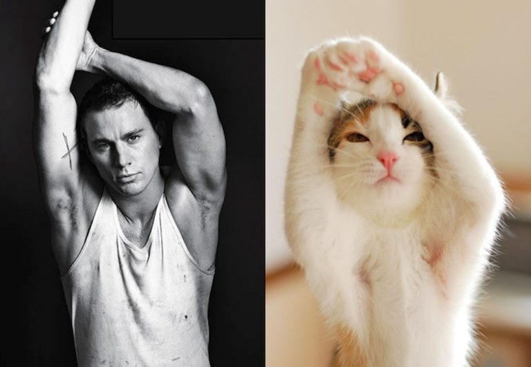 RÅ-SEXY mannlige modeller poserer med verdens SØTESTE katter!