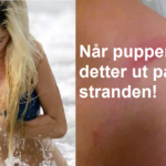 store-pupper-latterkula2