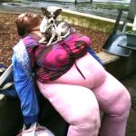 pupp2_19