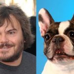 Jack-Black