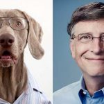 bill-gates