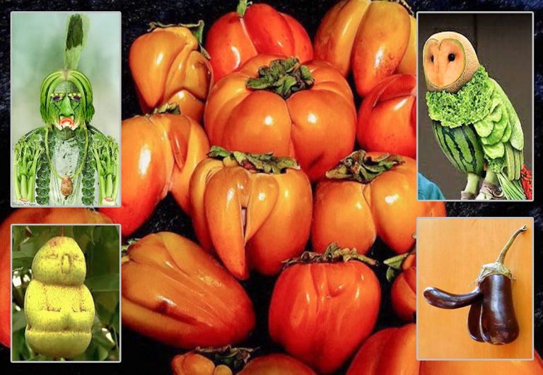 Se verdens rareste, SYKESTE, perverse og MORSOMME grønnsaker – Del 4