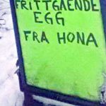 norg13