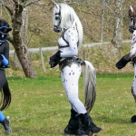 pony-fb