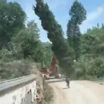tre